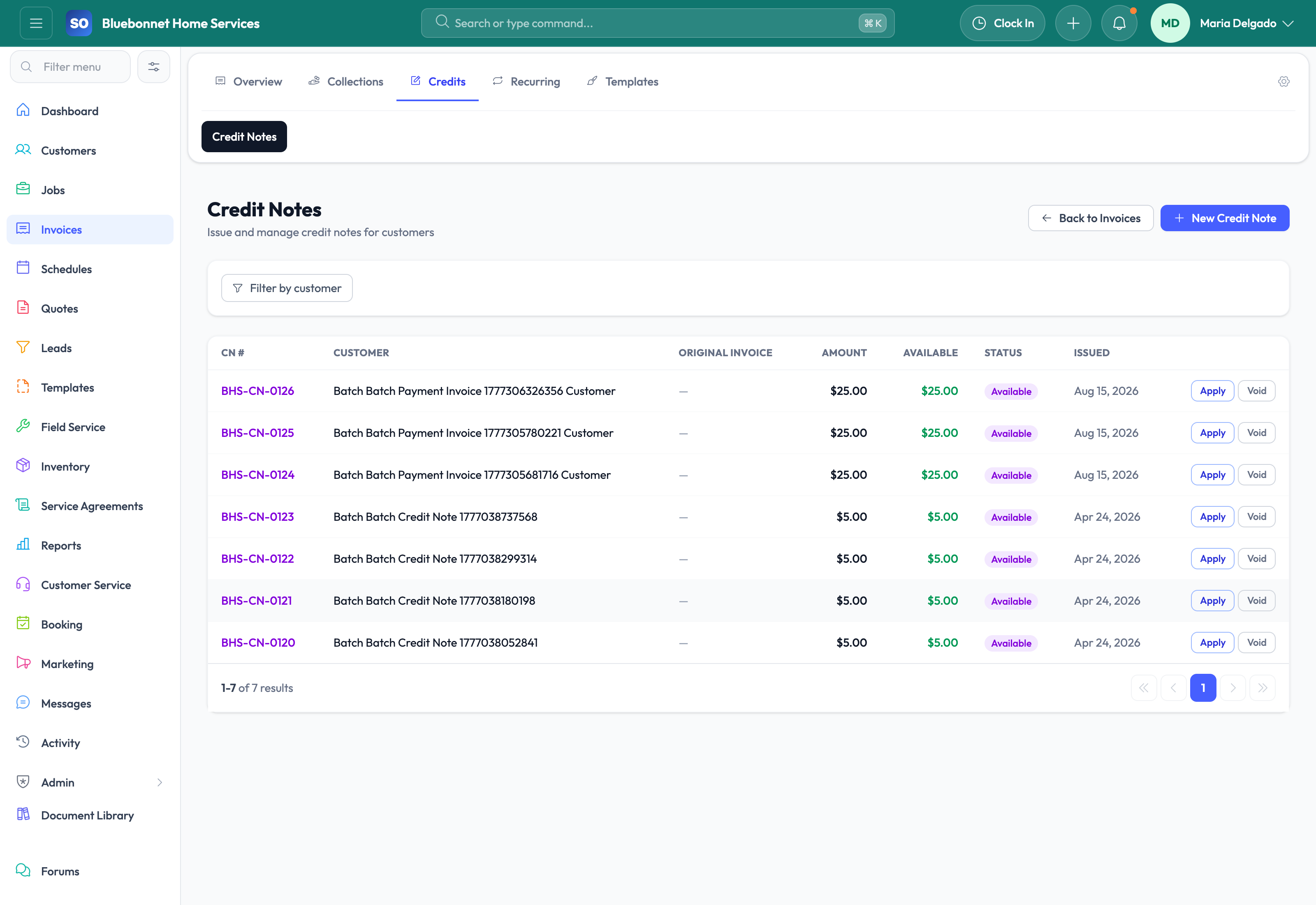 Credit notes tab for credits and adjustments.
